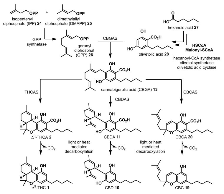 PMC7345649 – antibiotics-09-00297-sch001