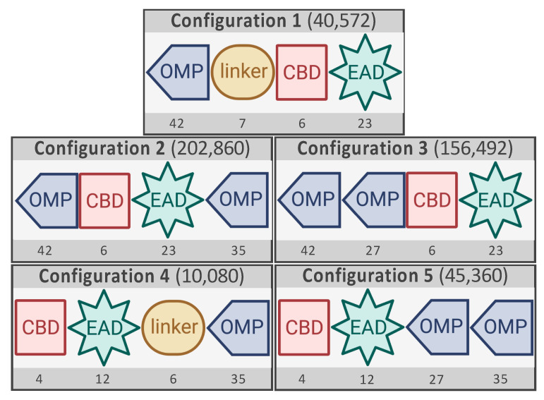 PMC7998686 – antibiotics-10-00293-f001