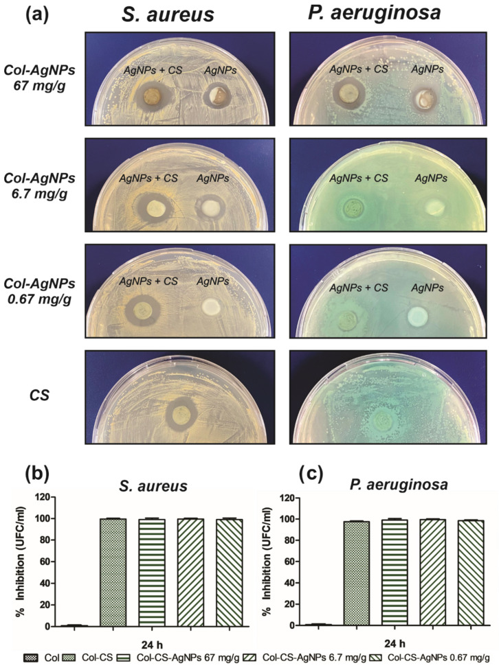 PMC8615148 – antibiotics-10-01420-f009