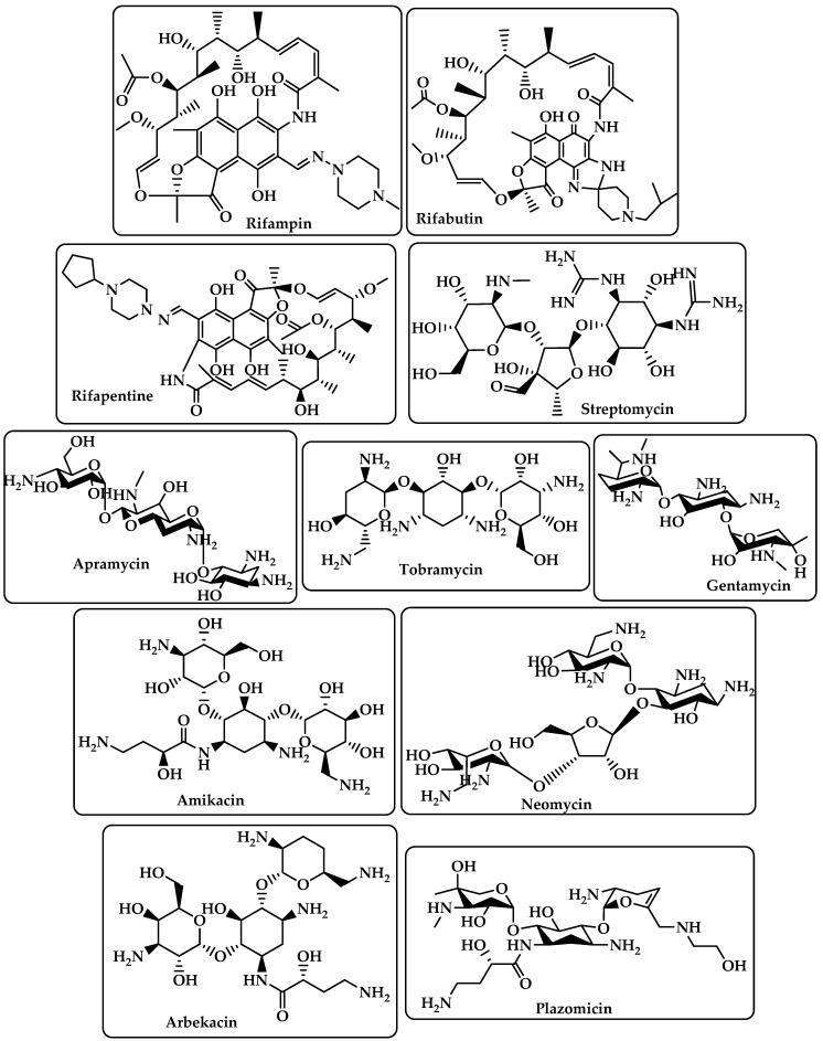 PMC10045396 – antibiotics-12-00628-f003