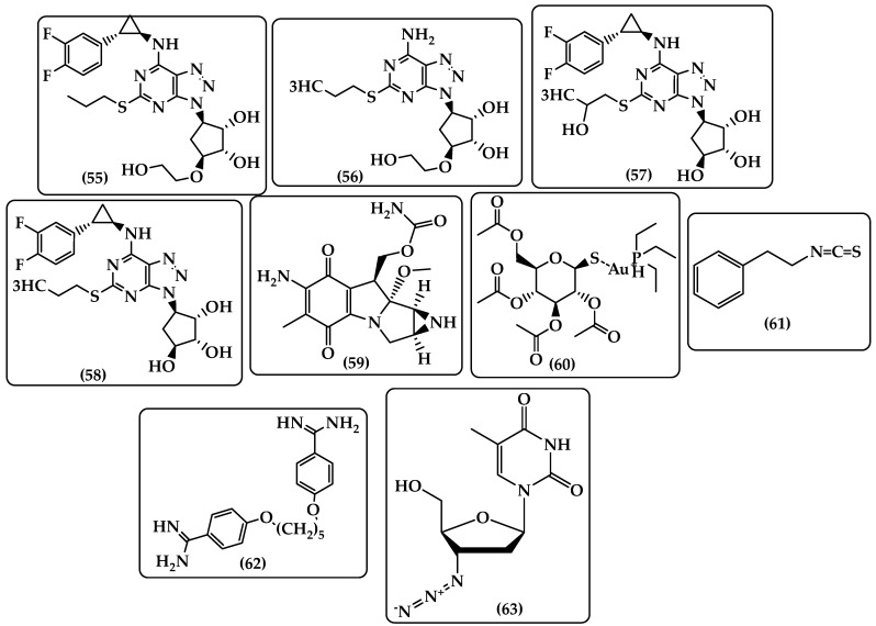 PMC10045396 – antibiotics-12-00628-f012