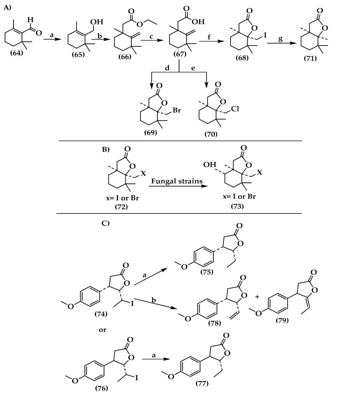 PMC10045396 – antibiotics-12-00628-sch001