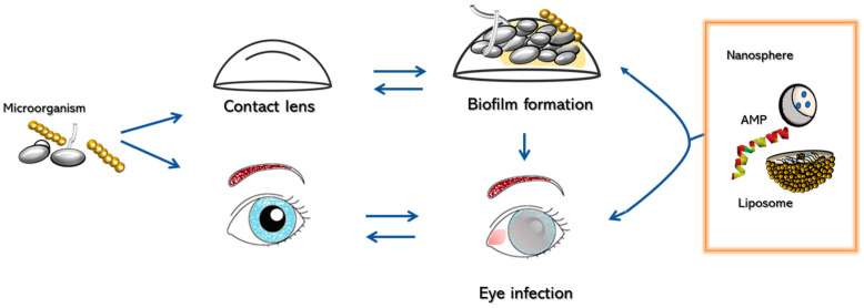 PMC10451181 – antibiotics-12-01277-f001