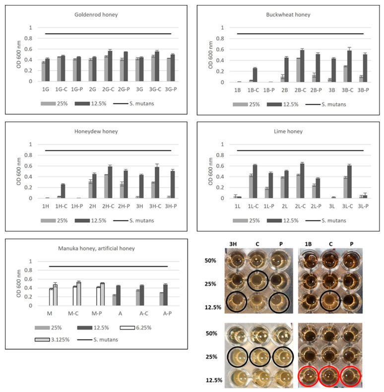 PMC10669562 – antibiotics-12-01640-f002