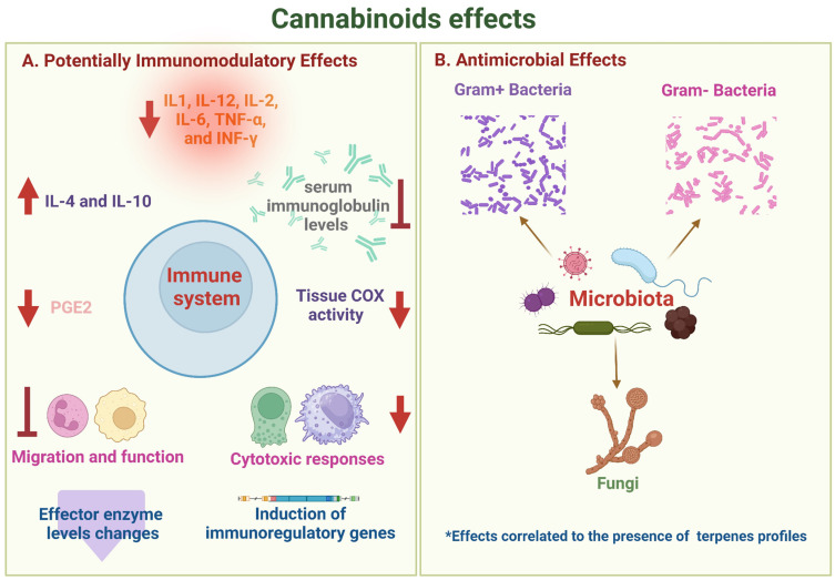 PMC10740419 – antibiotics-12-01687-f002