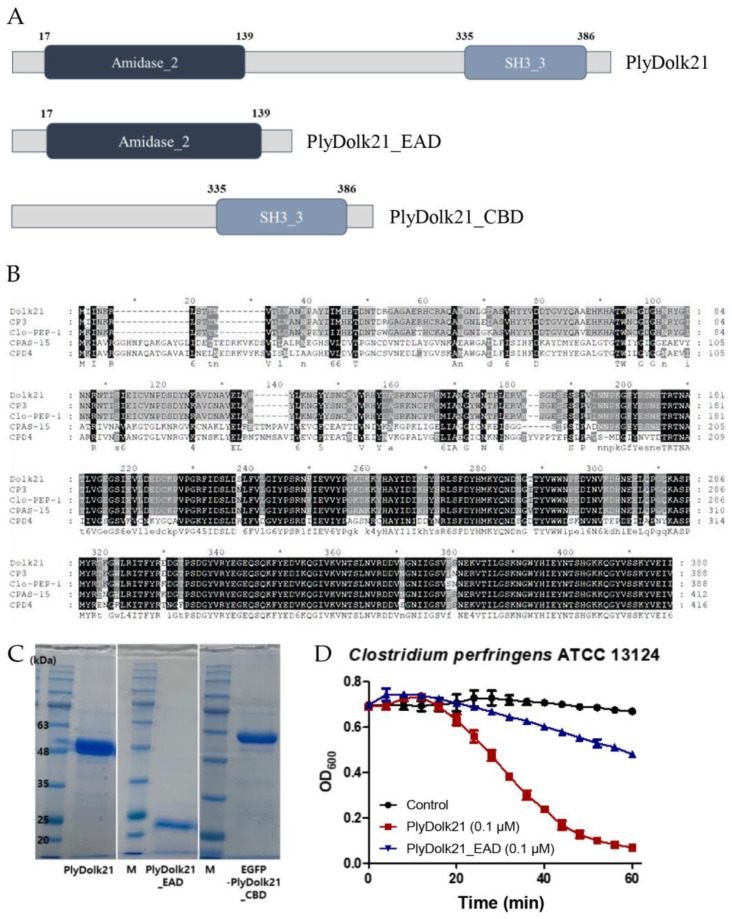PMC11762992 – antibiotics-14-00081-f002