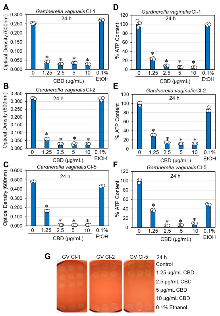 PMC11851883 – antibiotics-14-00136-f001