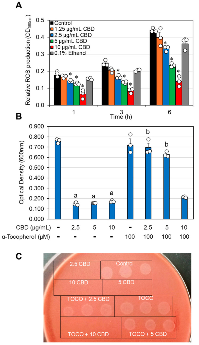 PMC11851883 – antibiotics-14-00136-f006