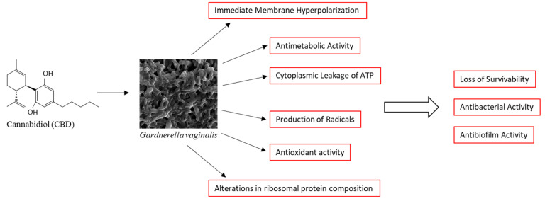 PMC11851883 – antibiotics-14-00136-f009