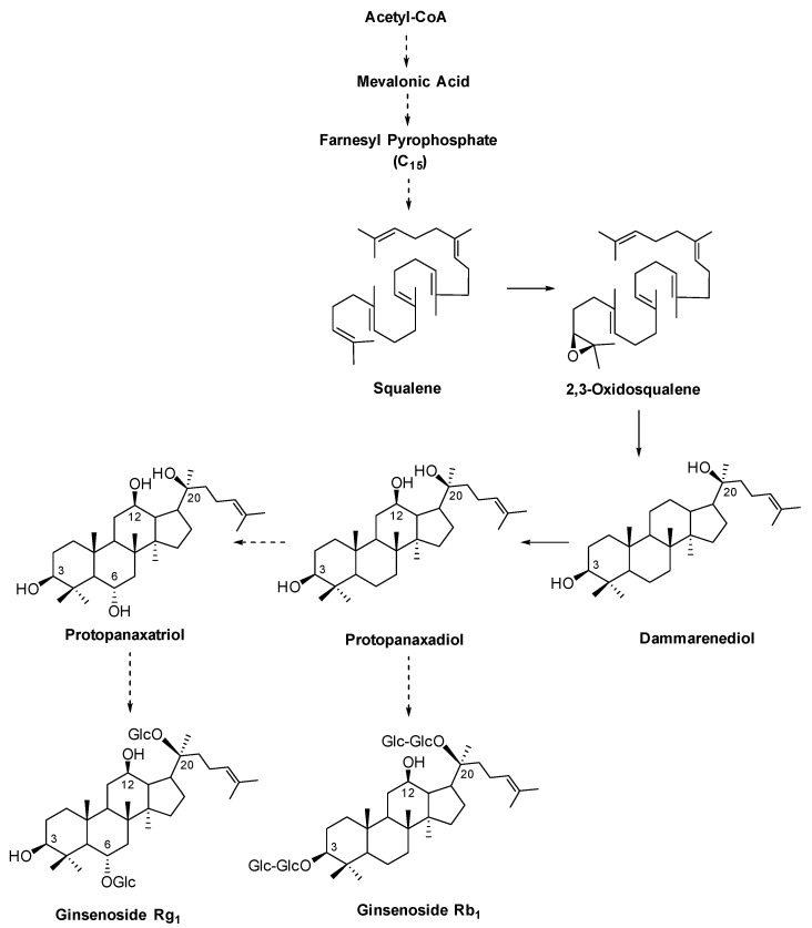 PMC11348259 – antibodies-13-00060-f001