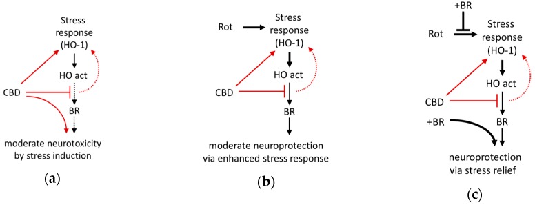 PMC7070382 – antioxidants-09-00135-f009