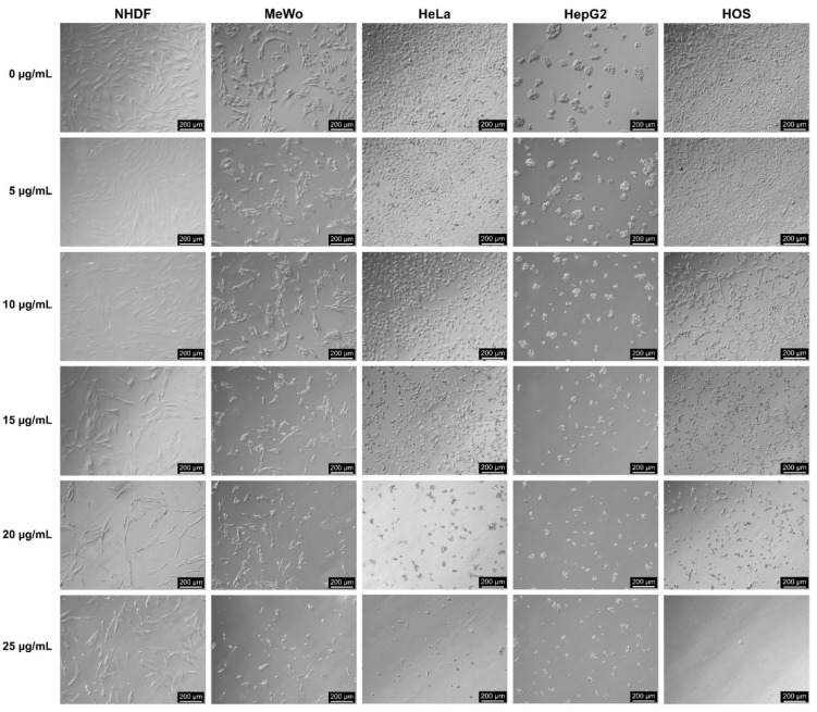 PMC8150740 – antioxidants-10-00738-f007