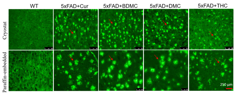 PMC8533373 – antioxidants-10-01592-f009