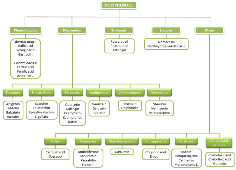 PMC8772735 – antioxidants-11-00150-f001