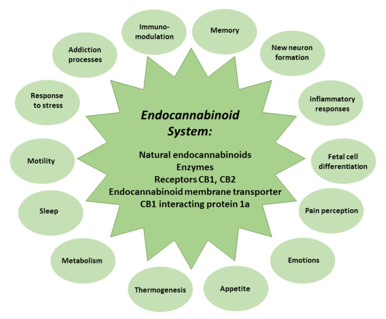 PMC9030479 – antioxidants-11-00660-f002