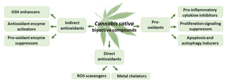 PMC9030479 – antioxidants-11-00660-f004