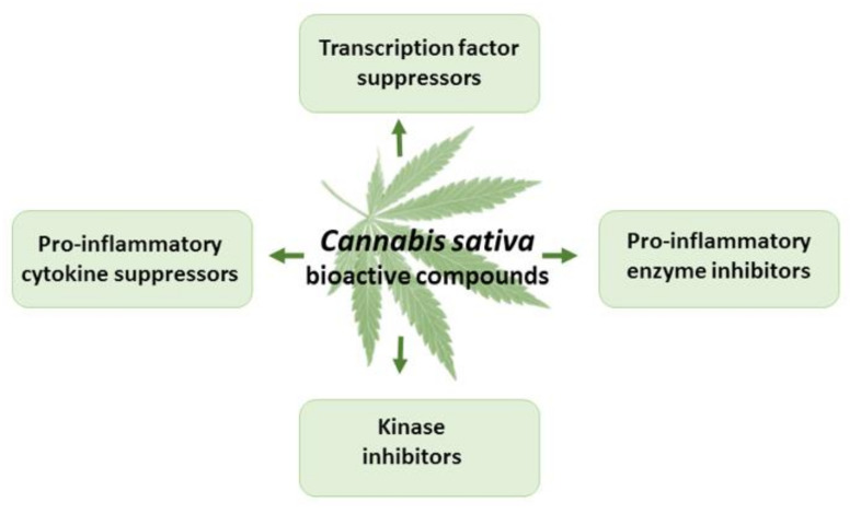 PMC9030479 – antioxidants-11-00660-f005