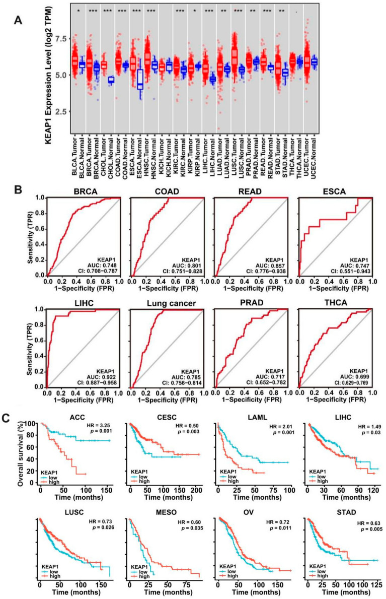 PMC9029261 – antioxidants-11-00661-f001