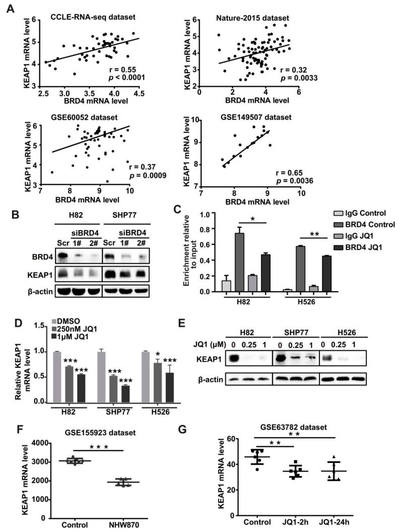 PMC9029261 – antioxidants-11-00661-f003
