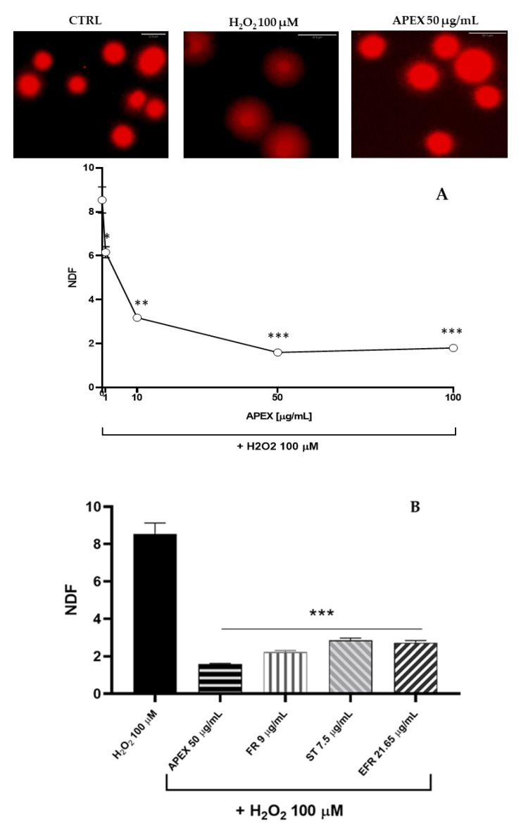 PMC9137677 – antioxidants-11-00860-f005