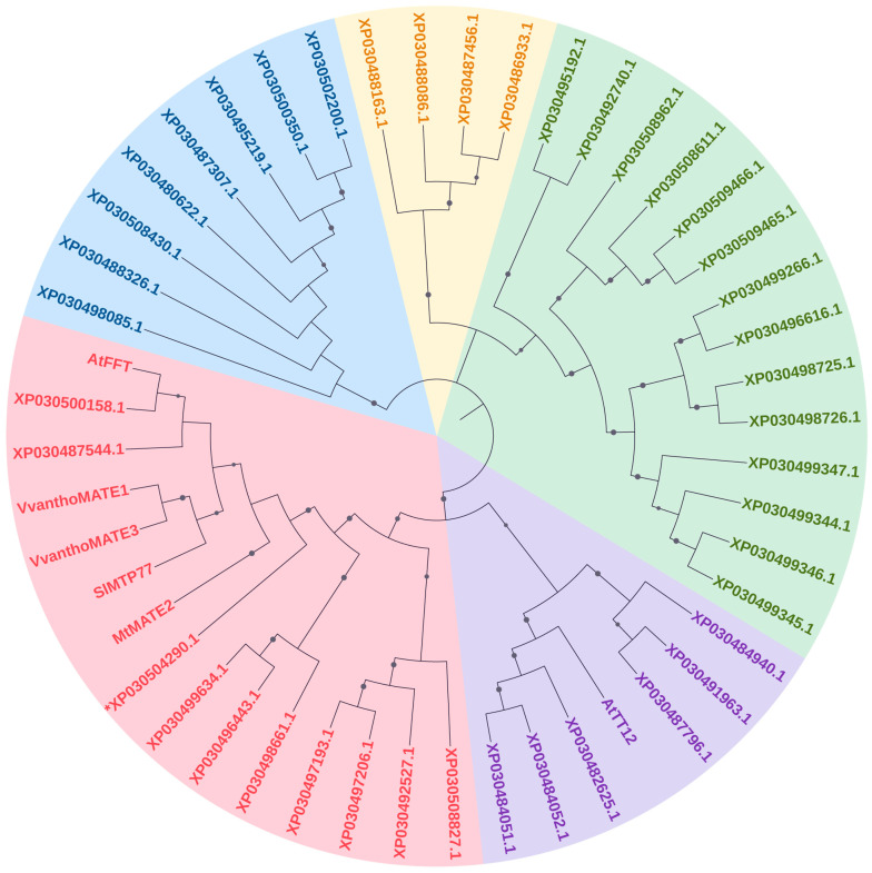 PMC10376404 – antioxidants-12-01393-f002
