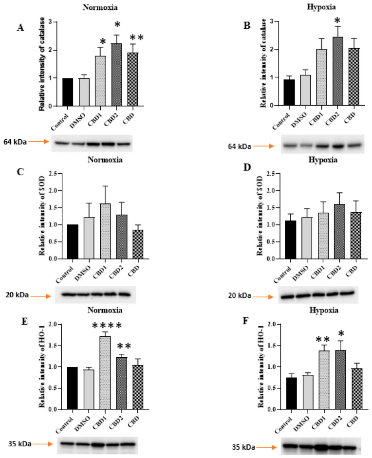 PMC10525859 – antioxidants-12-01714-f007