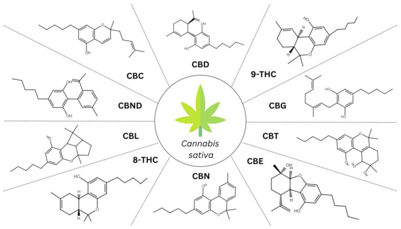 PMC10740807 – antioxidants-12-02052-f001