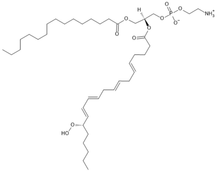 PMC10968245 – antioxidants-13-00334-f002