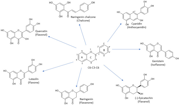 PMC10968245 – antioxidants-13-00334-f006