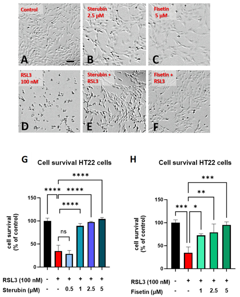PMC11047672 – antioxidants-13-00460-f001