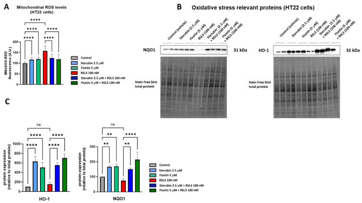 PMC11047672 – antioxidants-13-00460-f002
