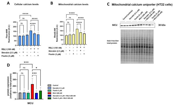 PMC11047672 – antioxidants-13-00460-f003