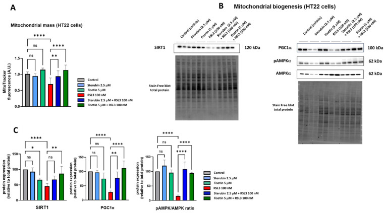 PMC11047672 – antioxidants-13-00460-f004