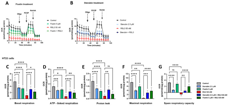 PMC11047672 – antioxidants-13-00460-f006