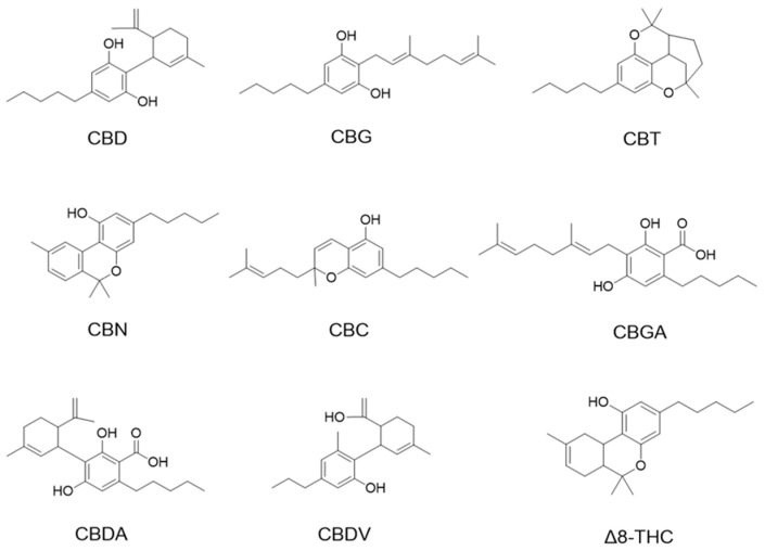 PMC11047683 – antioxidants-13-00478-f001