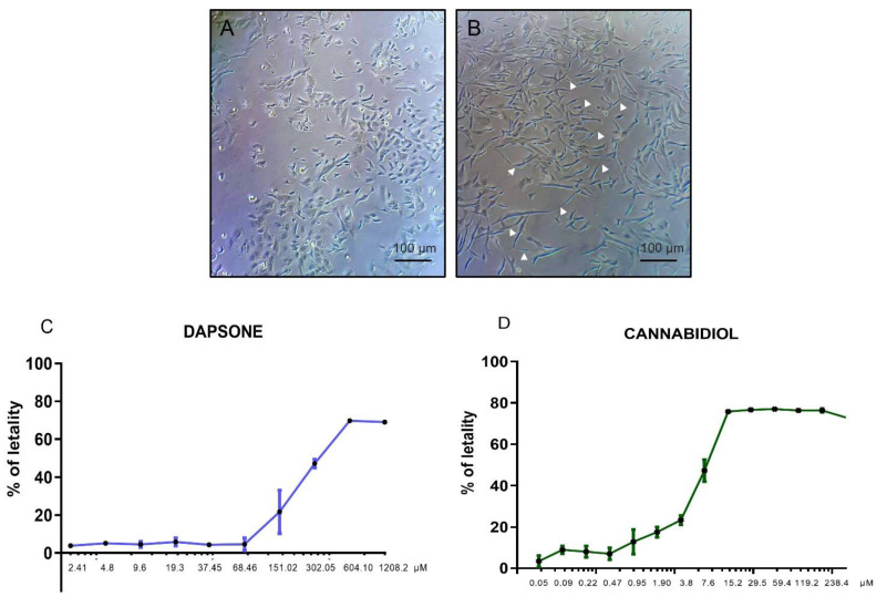 PMC11200396 – antioxidants-13-00705-f001