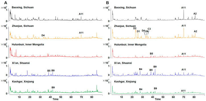 PMC11200612 – antioxidants-13-00749-f001