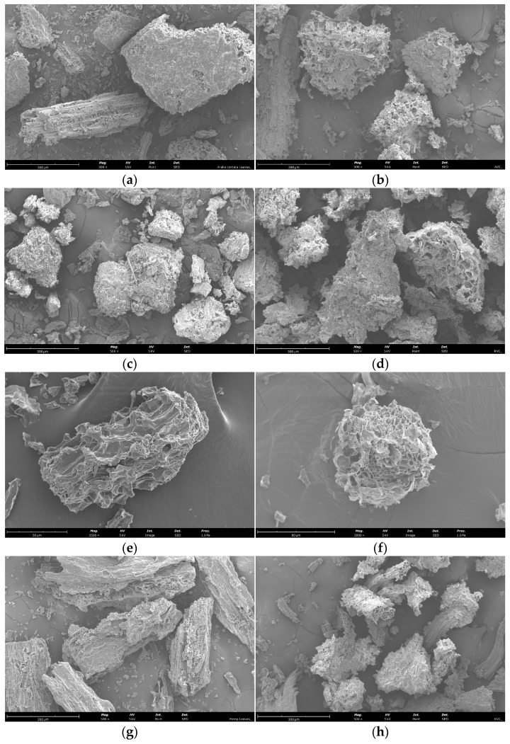 PMC11351958 – antioxidants-13-00950-f003