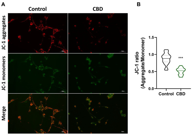 PMC11761945 – antioxidants-14-00018-f002