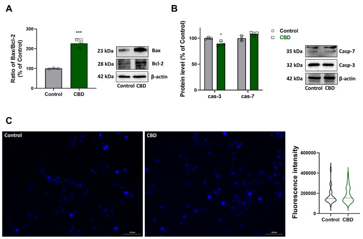 PMC11761945 – antioxidants-14-00018-f004