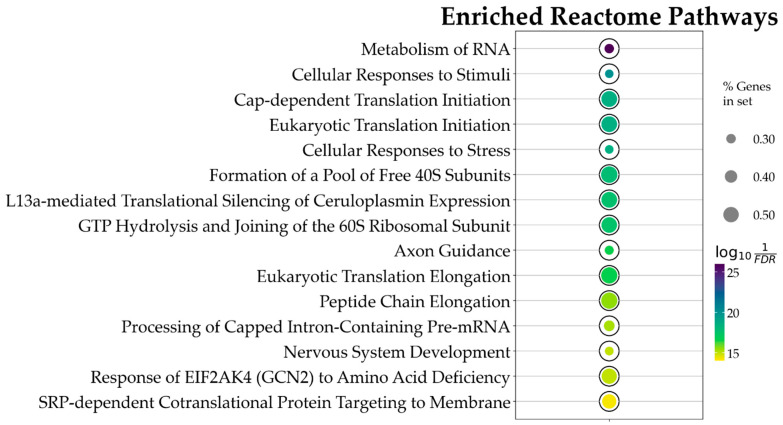 PMC12189254 – antioxidants-14-00744-f004