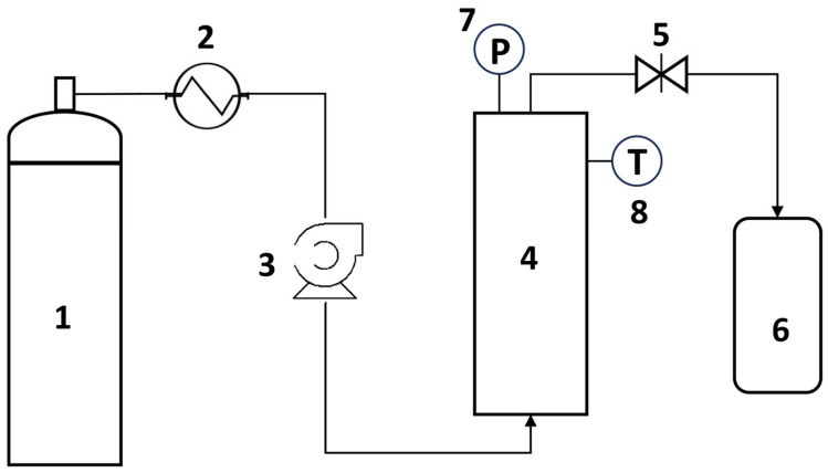 PMC12291681 – antioxidants-14-00777-f001