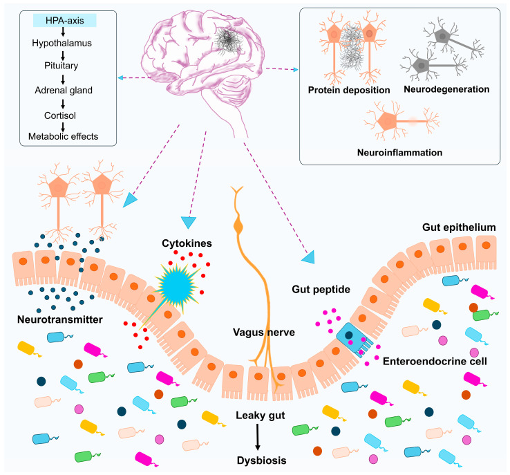 PMC12466820 – antioxidants-14-01078-f002