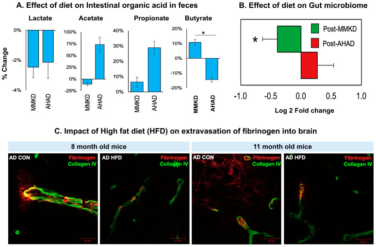 PMC12466820 – antioxidants-14-01078-f004