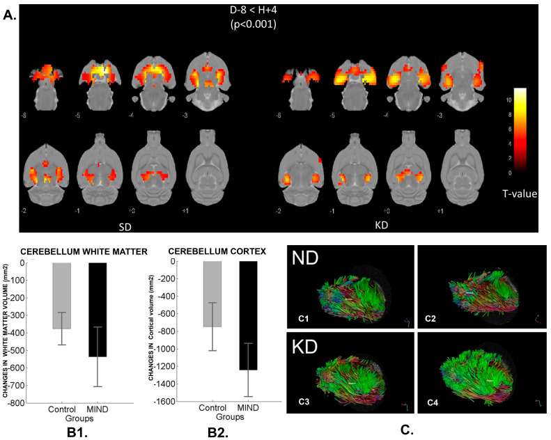 PMC12466820 – antioxidants-14-01078-f006
