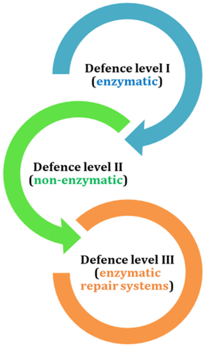 PMC12837394 – antioxidants-15-00016-f001