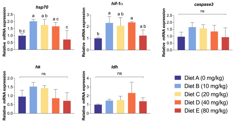 PMC13113092 – antioxidants-15-00475-f005