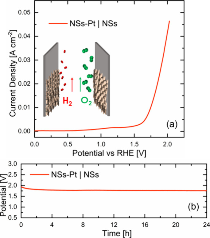PMC10568701 – fig6