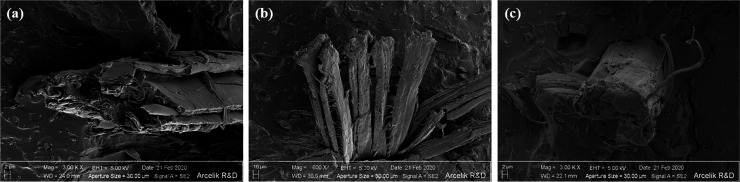 PMC10905589 – fig5