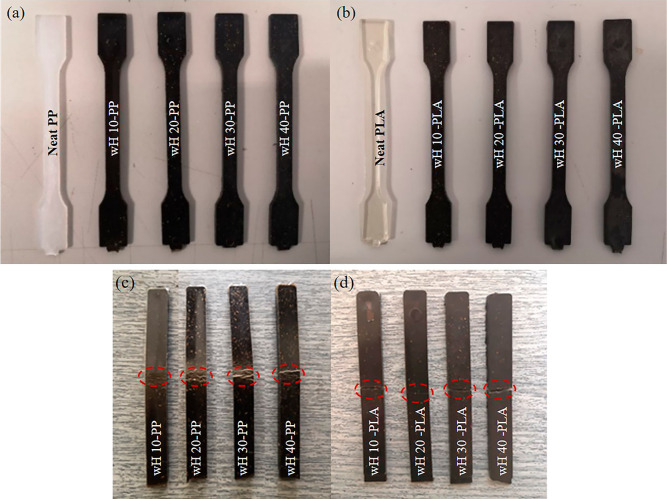PMC10905589 – fig7